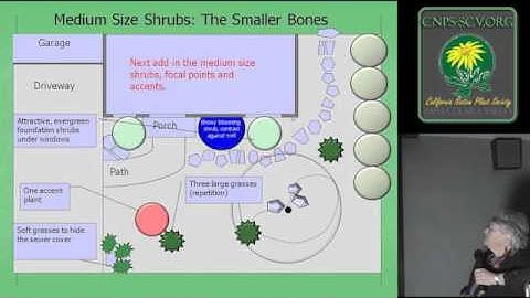 Creating a Conceptual Plan for a Native Garden