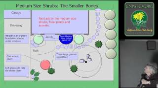 Creating a Conceptual Plan for a Native Garden