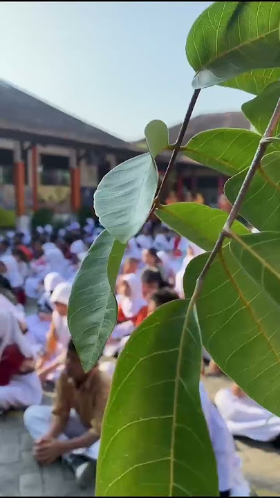 nonton bareng film 'hasduk berpola'