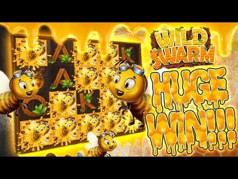 Wild Swarm Delivers a Sweet 567x Big Win!