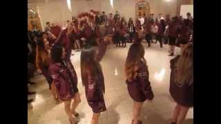 APhiG UIC Epsilon Class Formal Colony Stroll SP'15