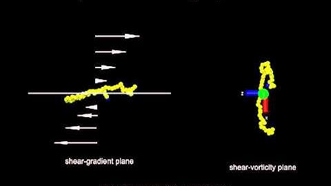Single polymer tumbling dynamics under shear flow