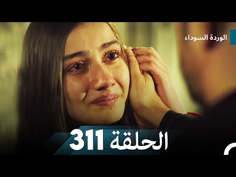 الوردة السوداء الحلقة 311