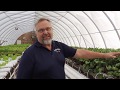 WINTER GROWING IN THE HYDROPONIC LETTUCE HOUSE