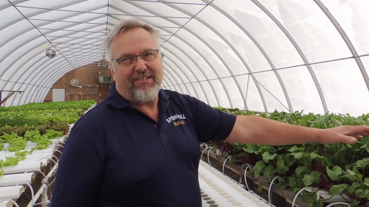 WINTER GROWING IN THE HYDROPONIC LETTUCE HOUSE