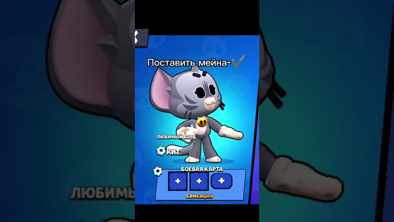 чек описание 