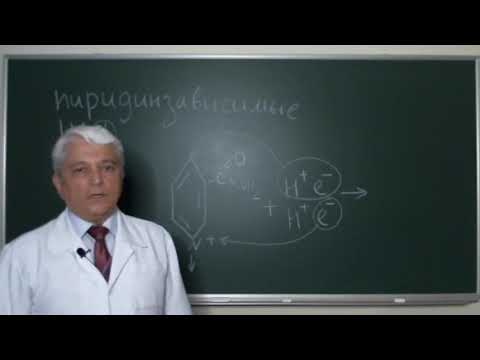 13:50 Биологическое окисление