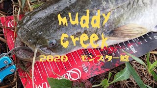 Muddy Creek 2020 モンスター鯰　【70UPモンスター】