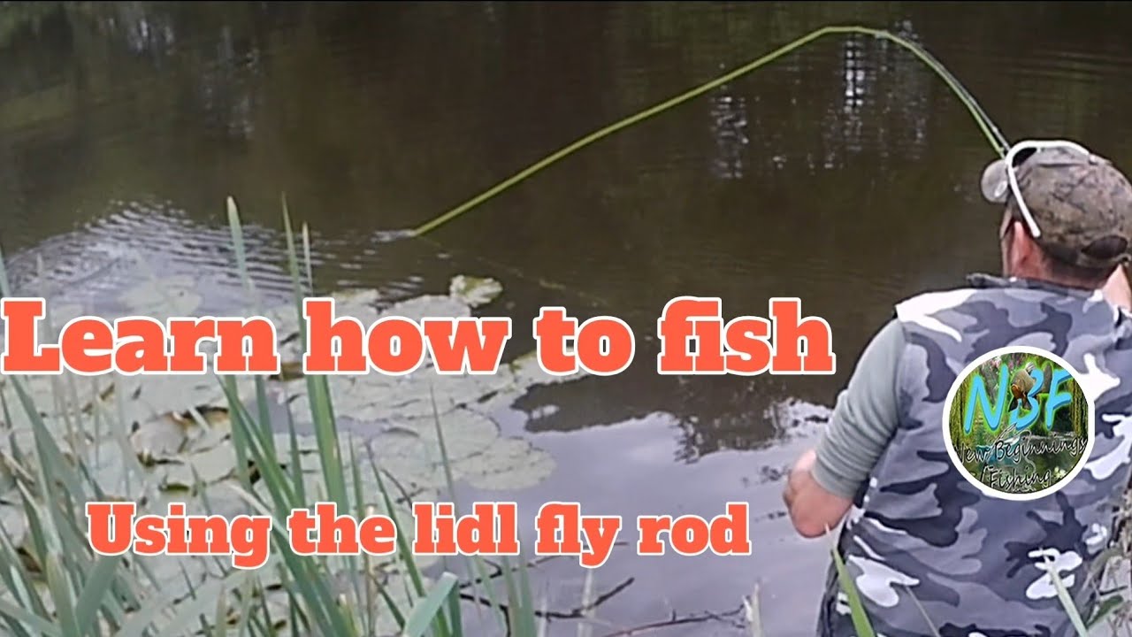 catch more fish this summer. using a cheap lidl rod fishing anglinglife coarsefishing roach