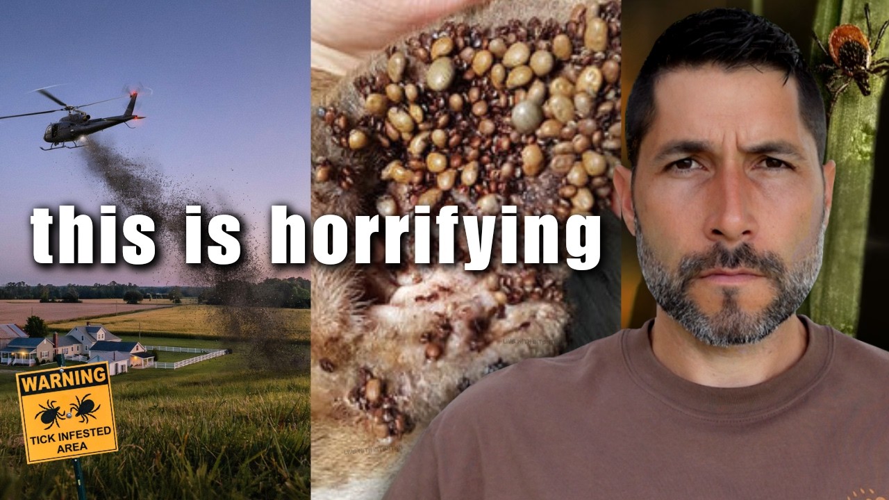 I investigated the explosion of ticks and what I found is horrifying…