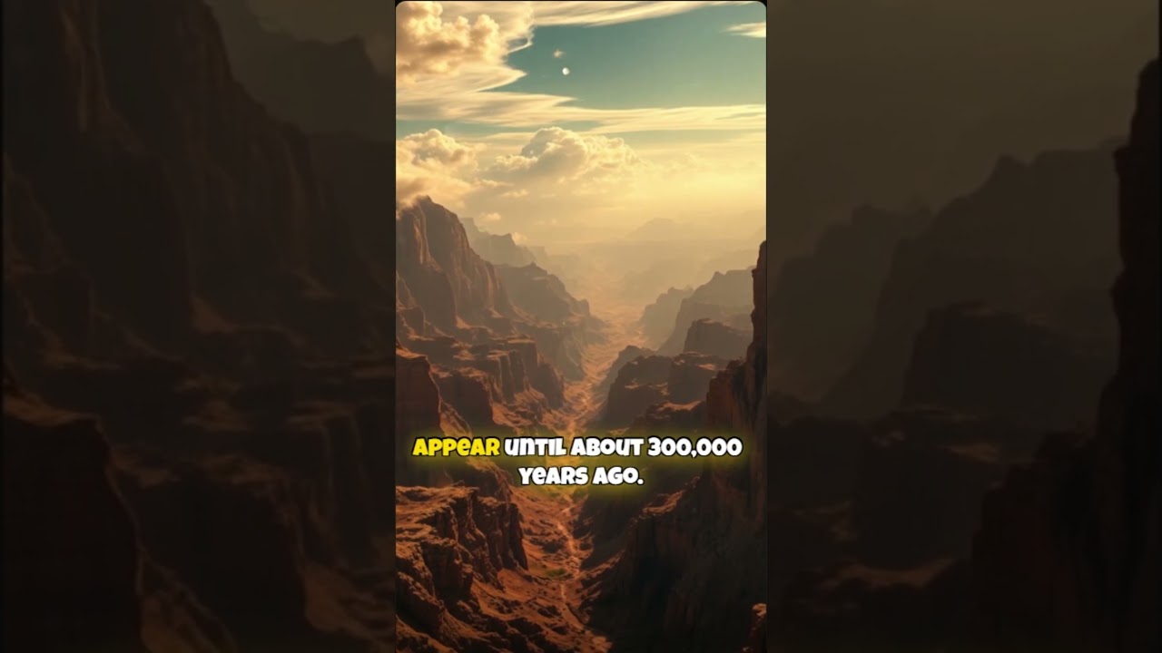 Did humans and dinosaurs ever meet 