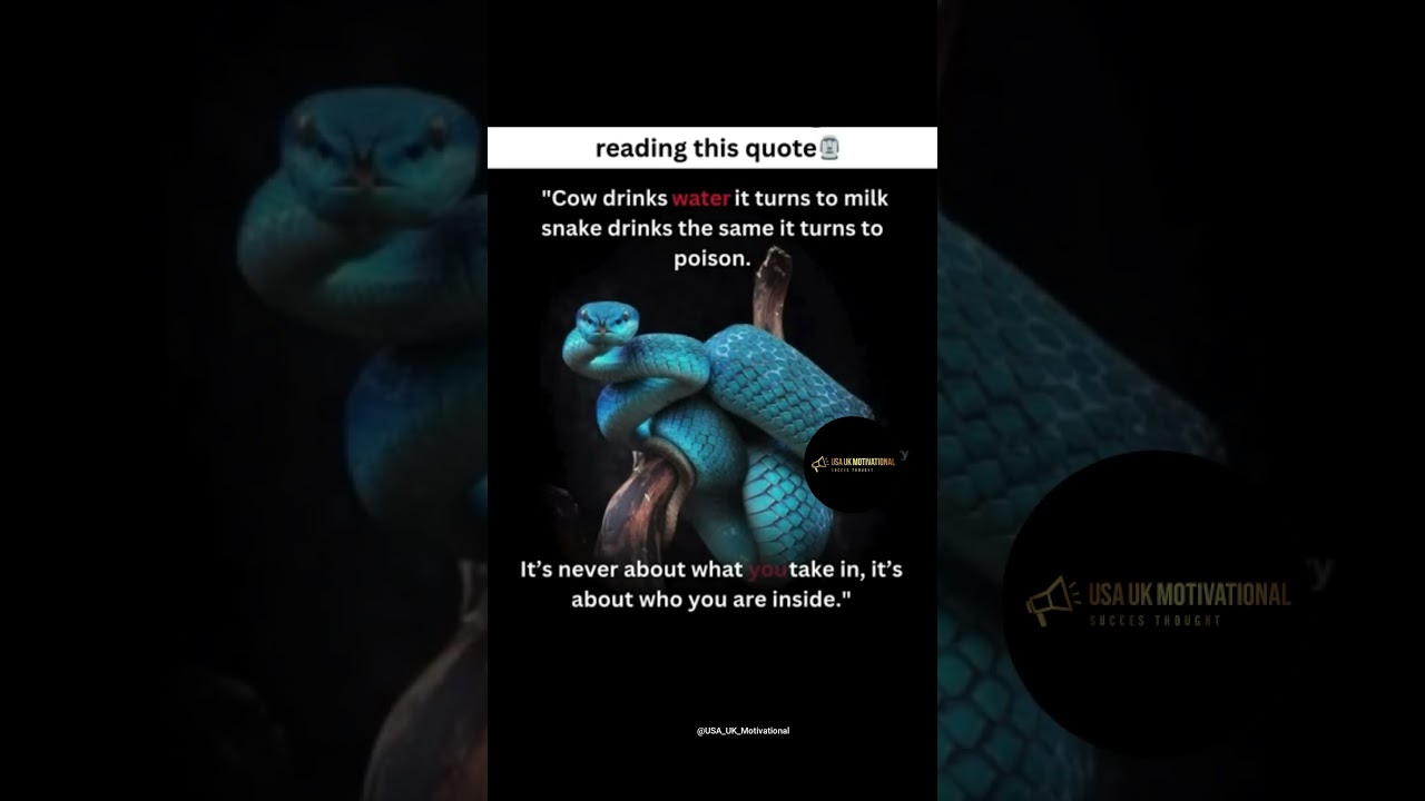 It’s not about what life 