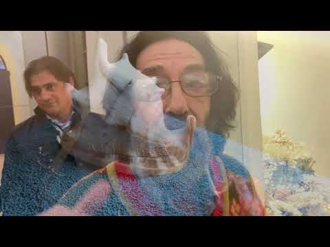 Museo di Malacologia Malakos - HT9RPE8V_7Y