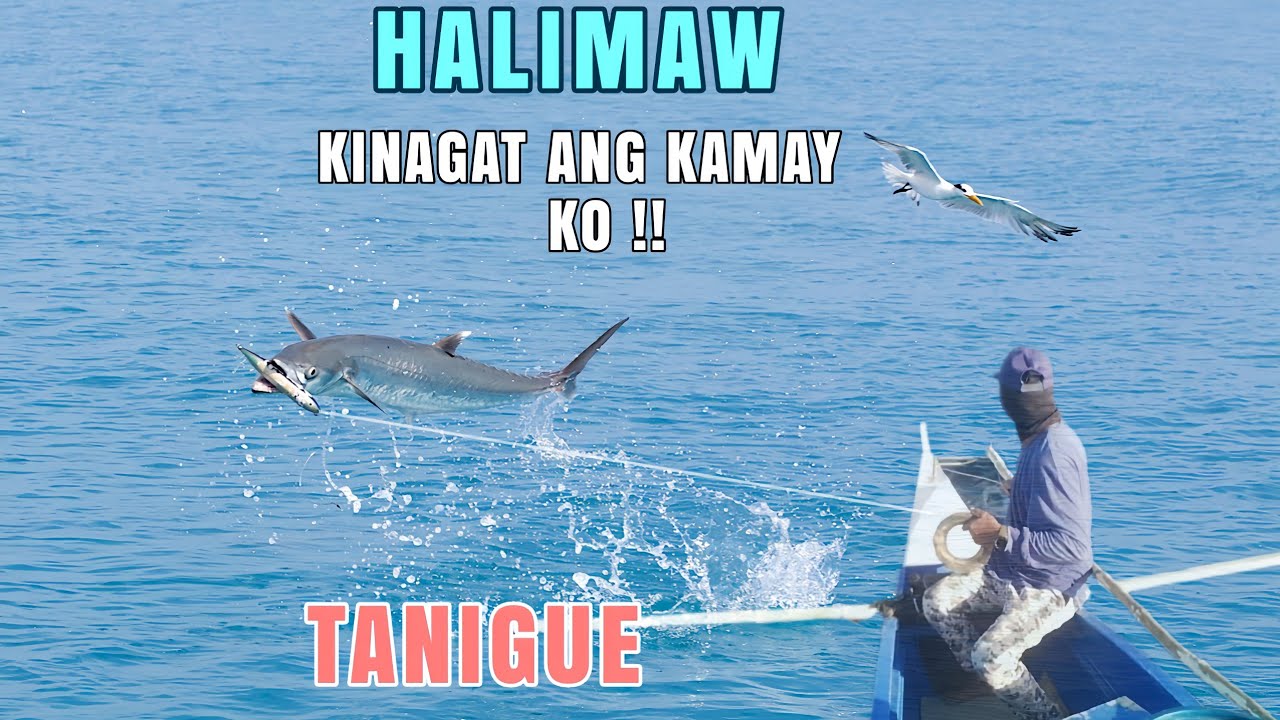 KINAGAT KAMAY KO NG TANIGUE MUNTIK MAPUTOL | 5 PIRASO TANIGUE | JACKPOT