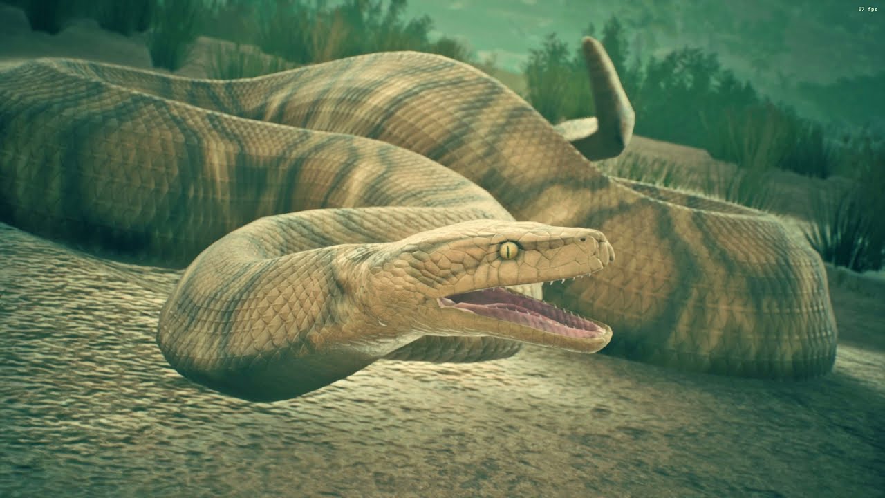 Rock Python Vs The African Buffalo In Ancestors - YouTube