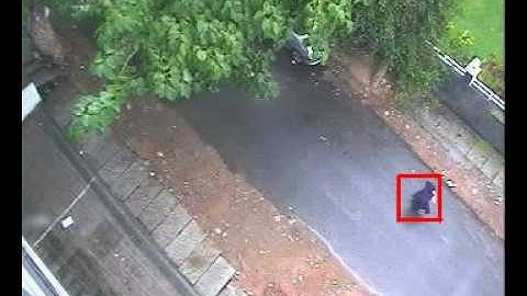 CamEye Video Surveillance -- Object Tracking