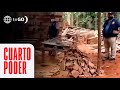 El millonario negocio del tráfico de madera ilegal | Cuarto Poder