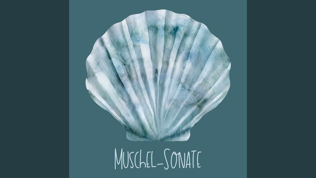 Serenade der Seevögel