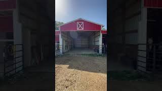 Horse Persons Dream Hay Delivery Day.