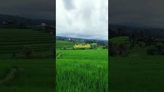 Download Lagu Jatiluwih MP3