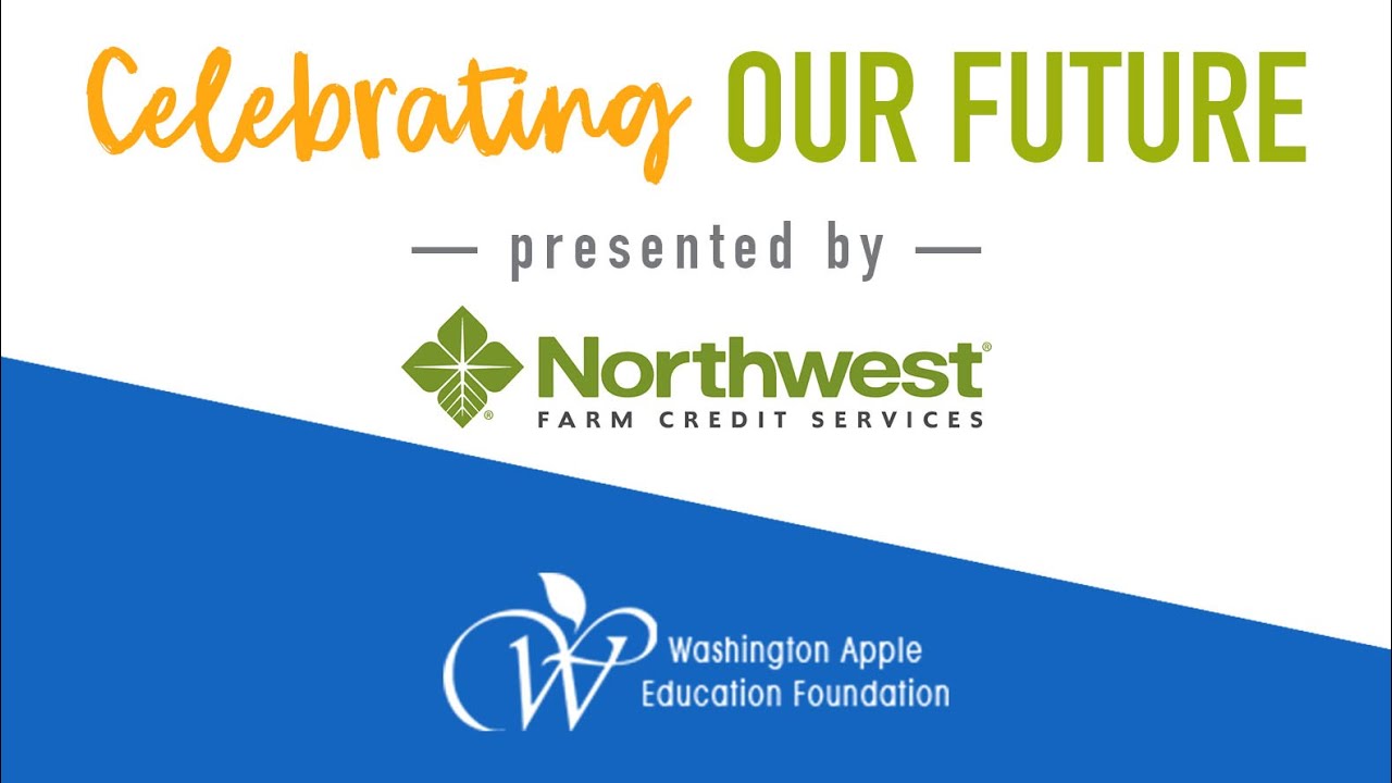 2020 Waef Scholarship Video Youtube