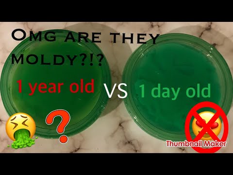 1-year-old-slime-v.s.-1-day-old-slime!!-*did-they-change?!*-~slimeypandazzz