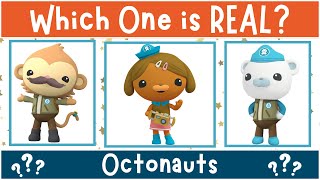 Can You Guess The REAL Octonauts Character?