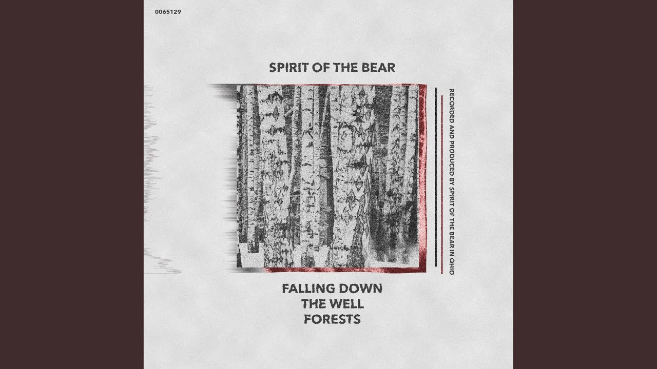 Παρακολούθηση Forests στο YouTube Παρακολούθηση Forests στο YouTube