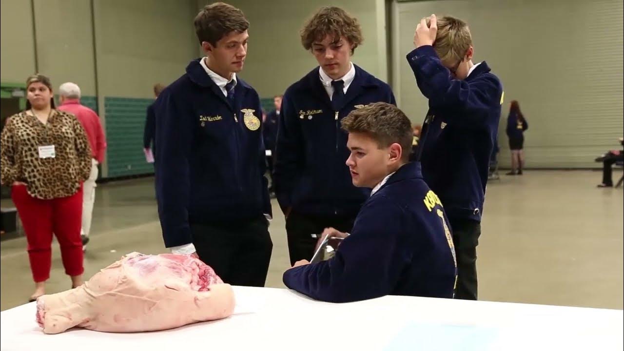Meats Evaluation & Technology CDE YouTube