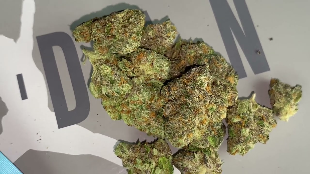 BACKPACK 🎒 BOYZ PRESENTS ******MERZCATO********