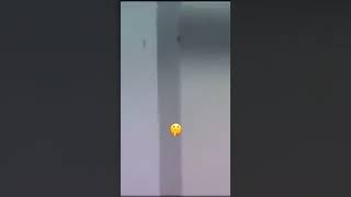 Woodwards Connection