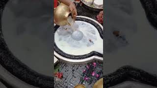 har har Mahadev 🙏🫡🙃 #viralshort #baidyanath #shivlinga