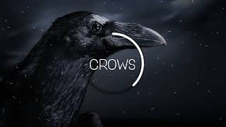 SINULACRA - Crows (Official Audio)