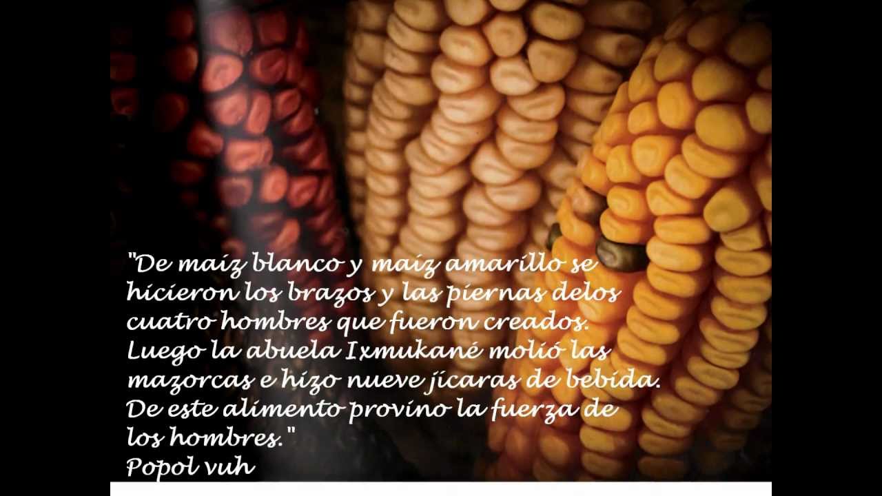 UDL GASTRONOMÍA LOS TOLTECAS PARTE 1 YouTube UDL GASTRONOMÍA LOS TOLTECAS PARTE 1 YouTube