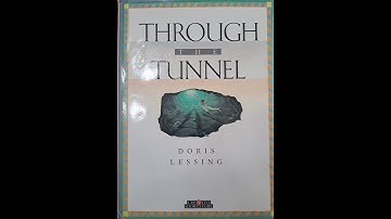 Plot summary, “Through the Tunnel” by Doris Lessing in 4 Minutes - Book Review