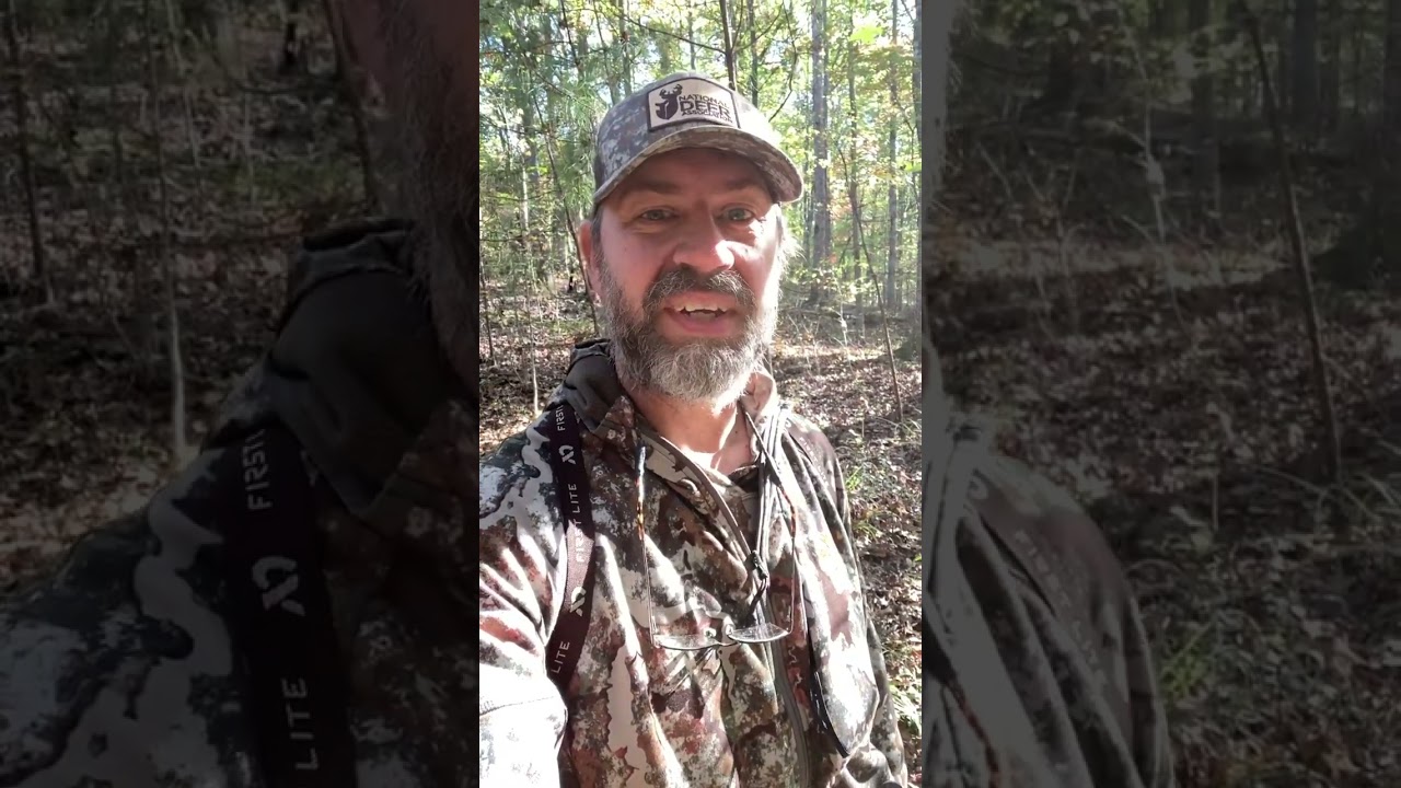 Does hunting over a fresh scrape improve your odds of killing a mature buck? 