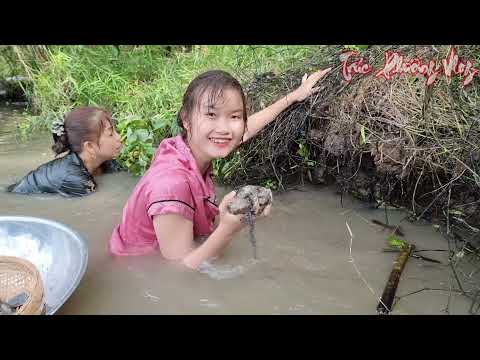 Video Lặn Sông Cái MÒ HANG BẮT CÁ Phát Hiện THỦY QUÁI Trong... - youtube