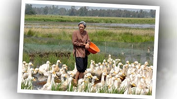 Truyện audio cùng Thol |#5 | Cái nhìn khắc khoải