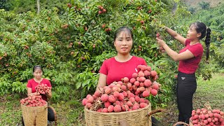 Luyen's lychees are ripe - brought to the market to sell and everyone is vying to buy them!