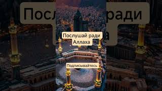 🥺#quran #аяталькурси #напоминание