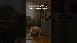 Your Pets Breathe It Too! Protect Them from Wildfire Smoke | Airpura