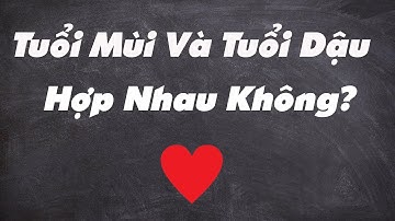 🔥(SIÊU HAY) Tuổi Mùi Và Tuổi  Dậu Có Hợp Nhau Không?Xem Tuổi Vợ Chồng Chuẩn Nhất|Tử Vi 365