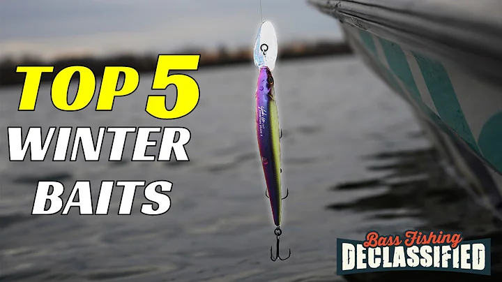 Top 5 January Bass Fishing Lures You Dont Want to ...