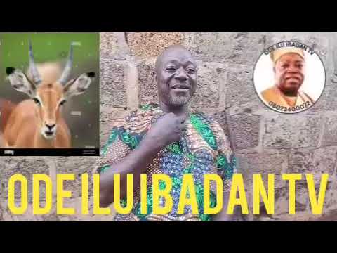IWIN LO LEMI PADA LOKO ODE L'ALE OJO AKOKO TI MO S'ODE ORU LO.