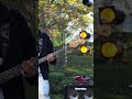 『そんなイカれてる夢を見てた』 #邦ロック #大学軽音 #大学生 #ネクライトーキー #軽音部 #shorts #オシャレ大作戦 #東海大学望星会軽音楽部