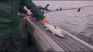 The AquaTraction Experience with Best Seattle Fishing