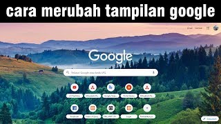 How to change the appearance of the Google Search Engine screenshot 4