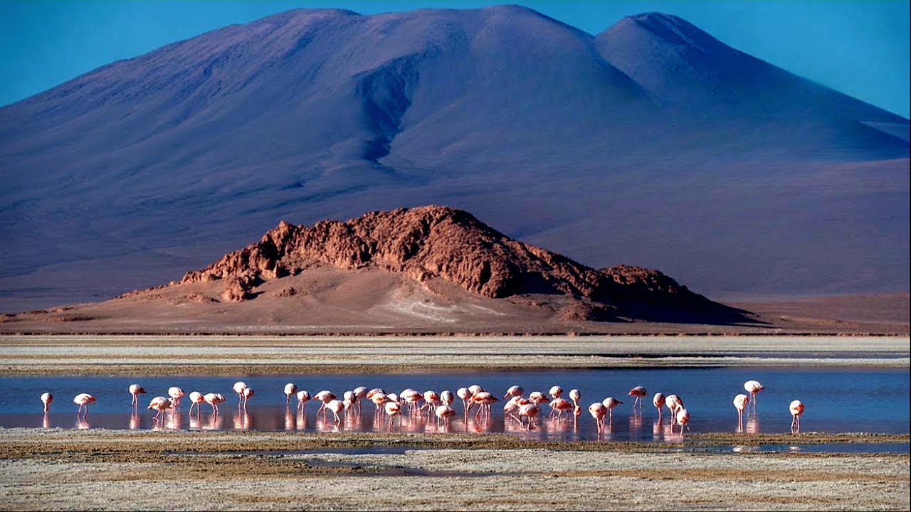 Atacama. Tribute to Domeyko - Polish Explorer in Chile | Song by DI&AI