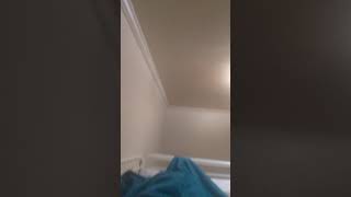 Read Description because I'm bad at explaining things with my voice Wealth