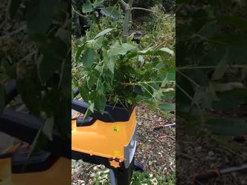 Електричний подрібнювач гілок фрезерний Riwall RES 3044 (до 44 мм, 3000 Вт, Чехія), видео 2